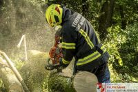 _2026-06-04 Baum über Strasse B141 Pramwald-1662